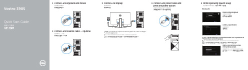 戴尔Vostro 3905快速入门指南说明书