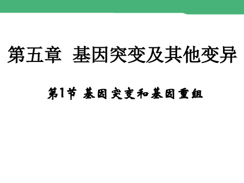 人教版高中生物必修二课件 5.1 基因突变和基因重组