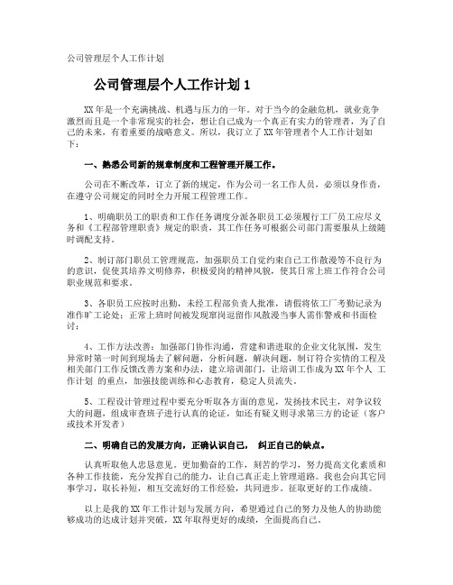 公司管理层个人工作计划