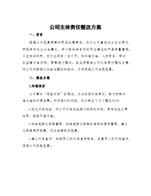 公司主体责任整改方案