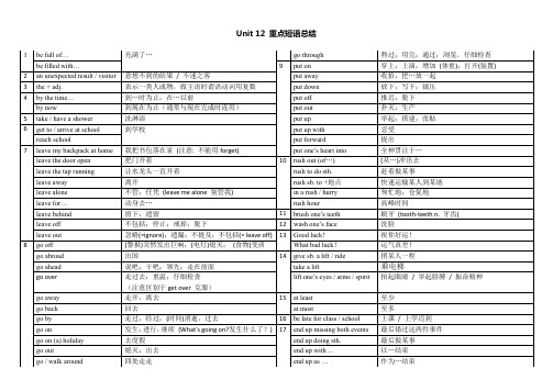 人教版九年级英语unit 12重点短语句子归纳(中考读背材料)