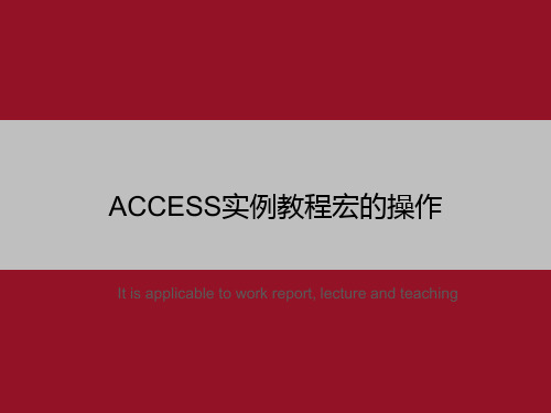 ACCESS实例教程宏的操作