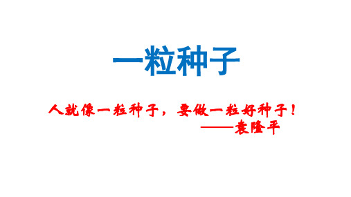 袁隆平-从三系杂交稻到二系再到一些的杂交水稻