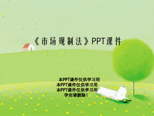 《市场规制法》PPT课件