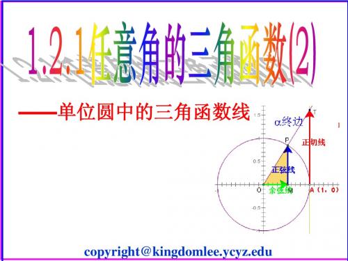 1.2.1任意角的三角函数(2)