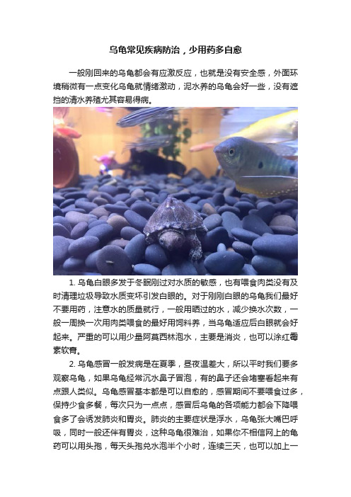 乌龟常见疾病防治，少用药多自愈