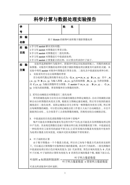 基于MATLAB进行树叶面积测量实验报告