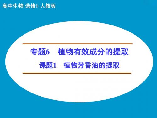 人教版高中生物选修一6.1植物芳香油的提取课件共35张PPT