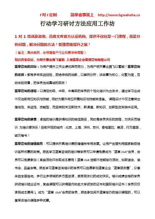 《执行行动学习研讨方法应用》