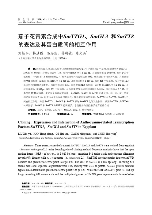 茄子花青素合成中SmTTG1、SmGL3和SmTT8的表达及其蛋白质间的相互作用