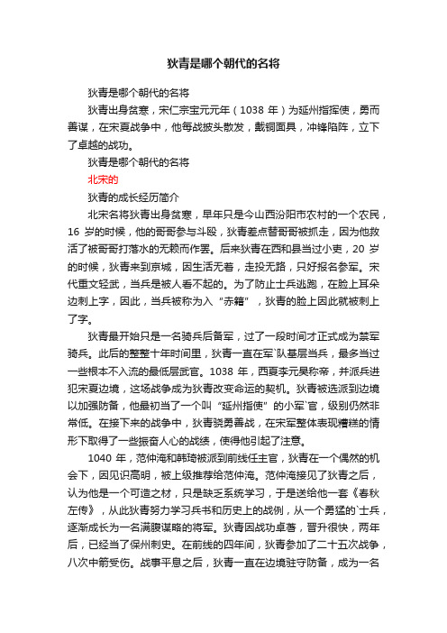 狄青是哪个朝代的名将