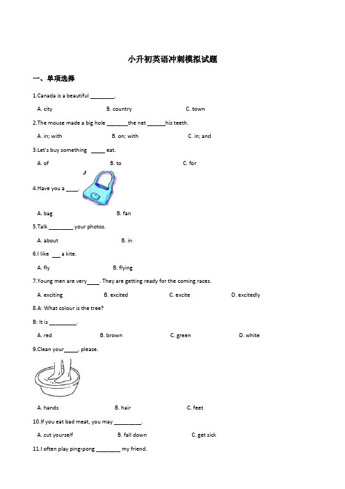 人教(PEP)2019-2020年小升初英语模拟试题 含答案  (7)