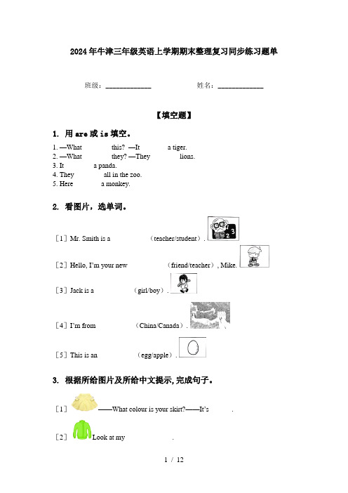 2024年牛津三年级英语上学期期末整理复习同步练习题单