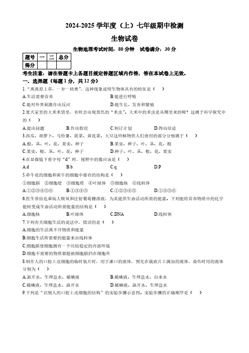 辽宁省本溪市2024-2025学年七年级上学期期中生物学试题(含答案)