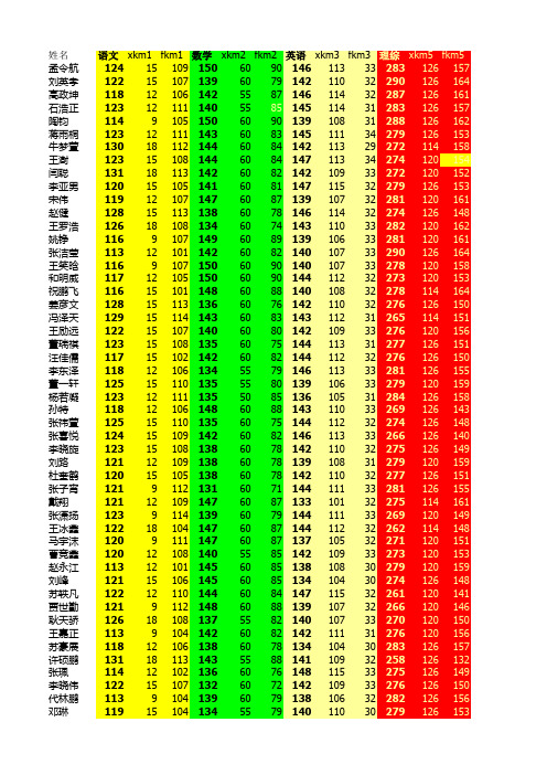 高考成绩汇总表(理)