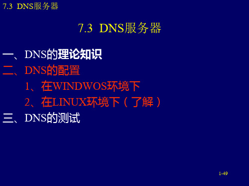 DNS服务器