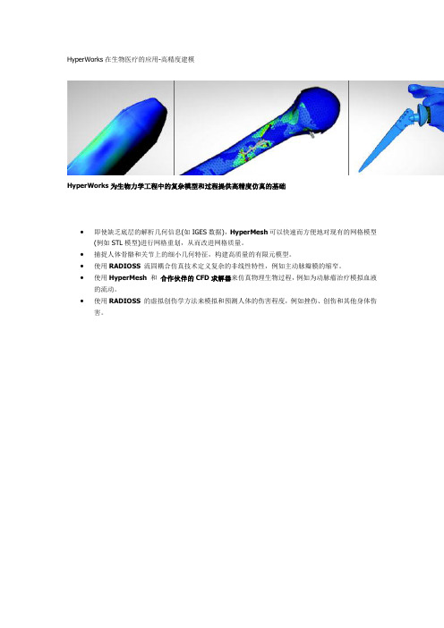 HyperWorks在生物医疗的应用-高精度建模