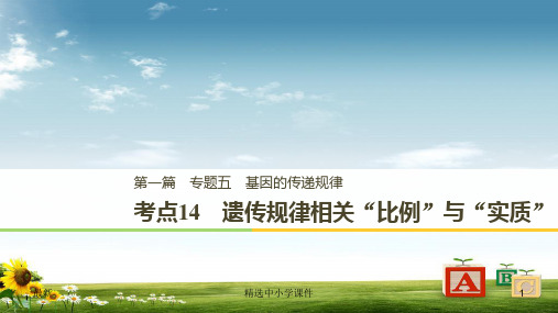 精选-高考生物二轮复习专题五基因的传递规律考点14遗传规律相关“比例”与“实质”课件