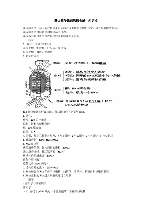 2021-2022学年高一生物人教版必修二4.1基因指导蛋白质的合成知识点整理