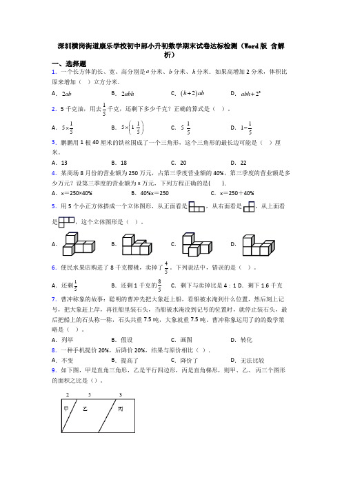 深圳横岗街道康乐学校初中部小升初数学期末试卷达标检测（Word版 含解析）