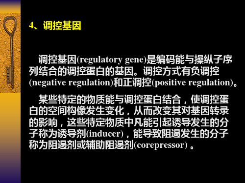 分子生物学讲座(8)