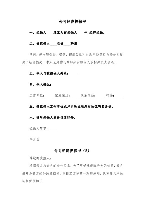 公司经济担保书（2篇）