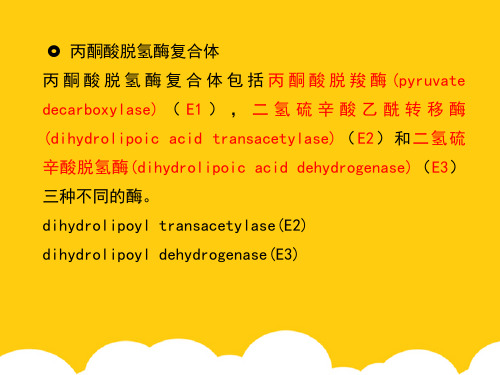 【实用】丙酮酸脱氢酶复合体PPT文档