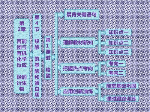 2.4羧酸氨基酸和蛋白质第1课时羧酸课件(鲁科选修5)