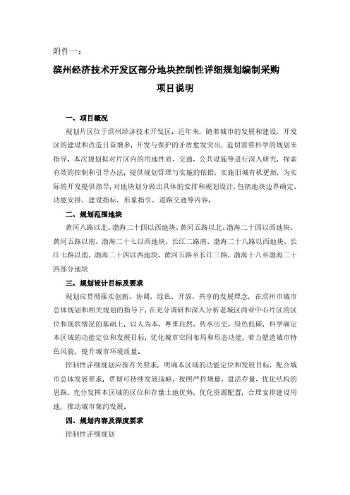 滨州经济技术开发区部分地块控制性详细规划编制采购项目说明