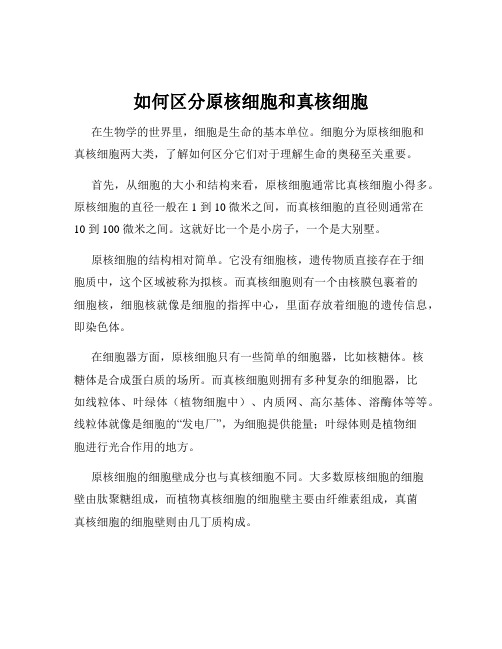 如何区分原核细胞和真核细胞