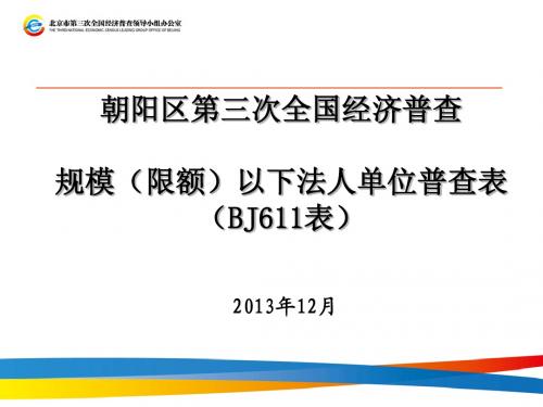 朝阳区第三次全国经济普查规模(限额)以下法人单位普查表...