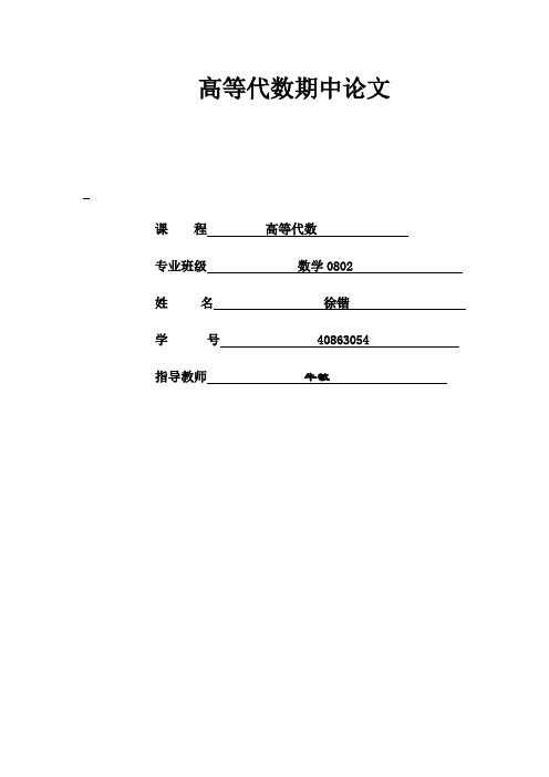 高等代数小论文--分块矩阵及其应用