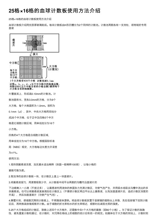 25格×16格的血球计数板使用方法介绍