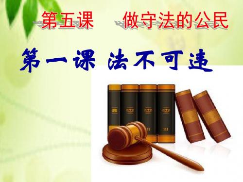 部编版 道德与法治八年级上册 5.1 法不可违 课件(共30张PPT)
