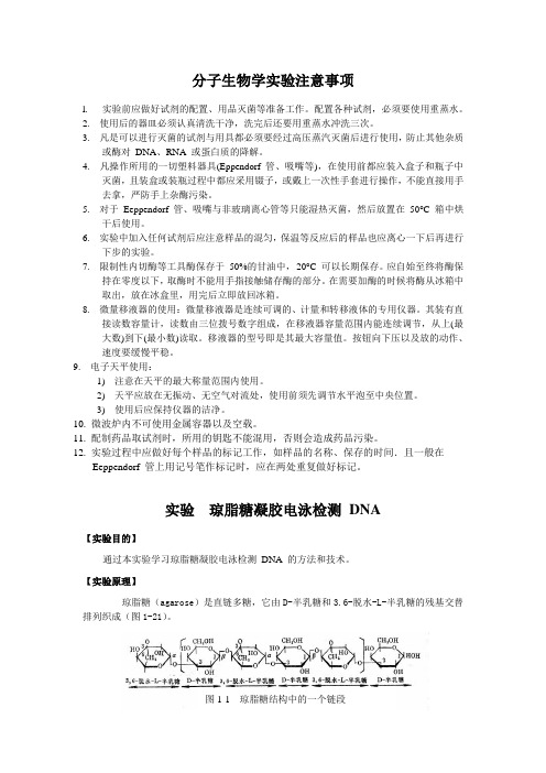 分子生物学实验注意事项