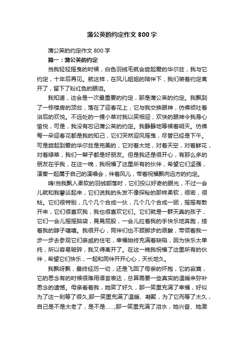 蒲公英的约定作文800字