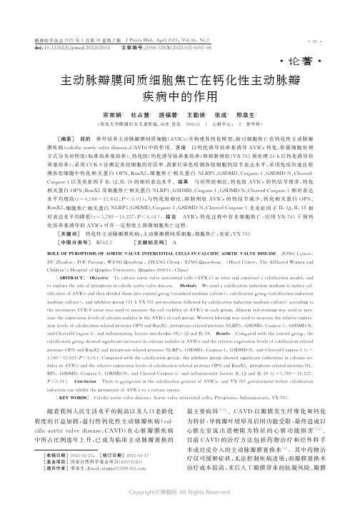 主动脉瓣膜间质细胞焦亡在钙化性主动脉瓣疾病中的作用宗丽娟_杜占