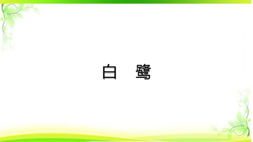 语文《白鹭》课件(共24张PPT)