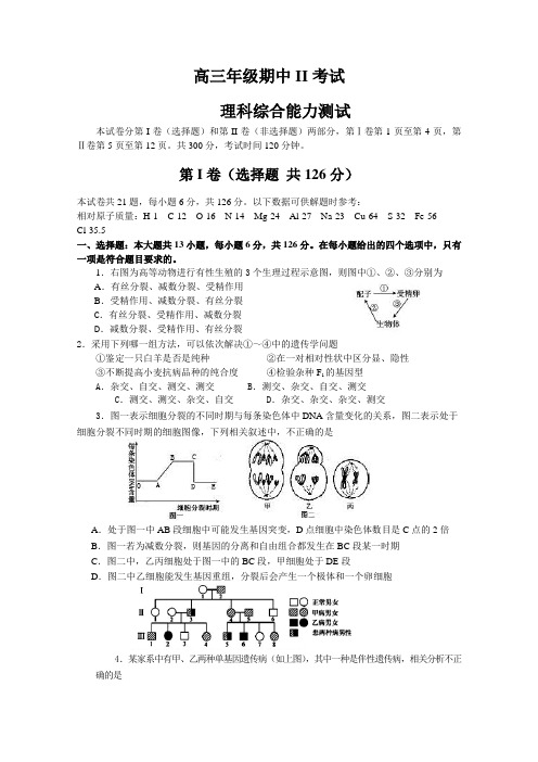 2012届高三上学期期中考试II 理科综合试题