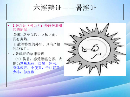 六淫辩证最新实用版