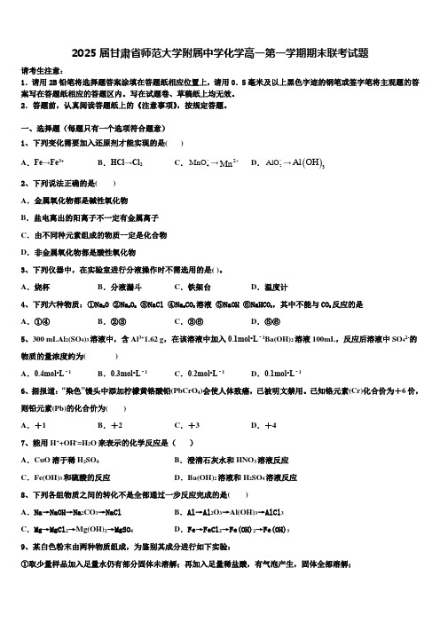 2025届甘肃省师范大学附属中学化学高一第一学期期末联考试题含解析