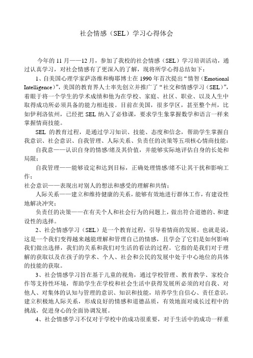 SEL——社会情感学习心得体会