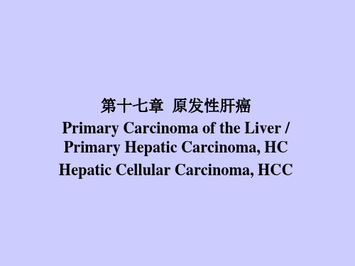 内科学教学课件：第十七章  原发性肝癌