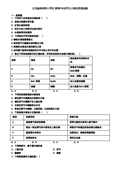 江苏省扬州树人学校2019年化学九上期末检测试题