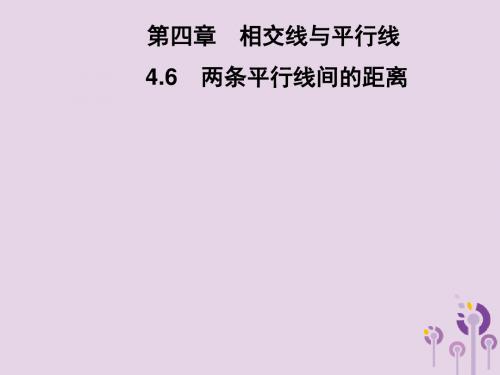 七年级数学下册第4章相交线与平行线4.6两条平行线间的距离习题课件新版湘教版