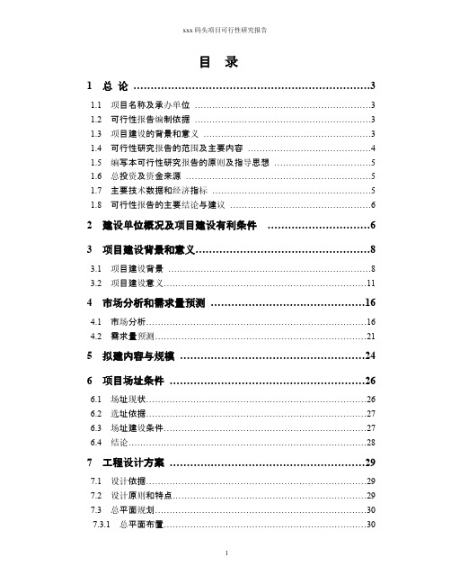 xxx码头项目可行性研究报告