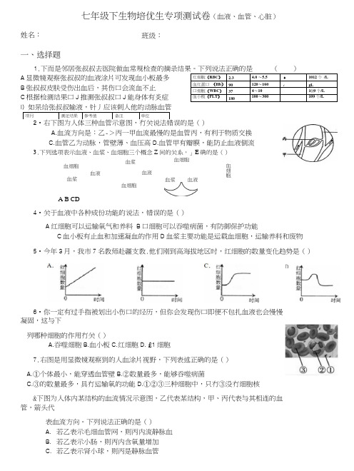 七年级下培优生测试卷3.docx