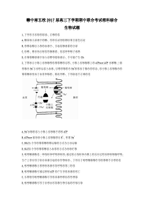 赣中南五校高三下学期期中联合考试理综生物doc