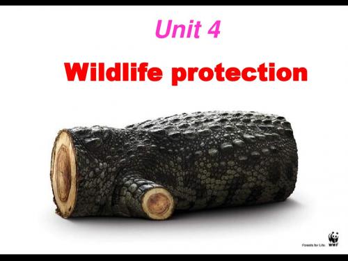 人教版高中英语 必修二 Unit4 《Wildlife  protection  ---Reading》(共33张PPT)