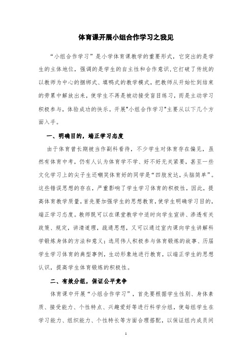 体育课开展小组合作学习之我见